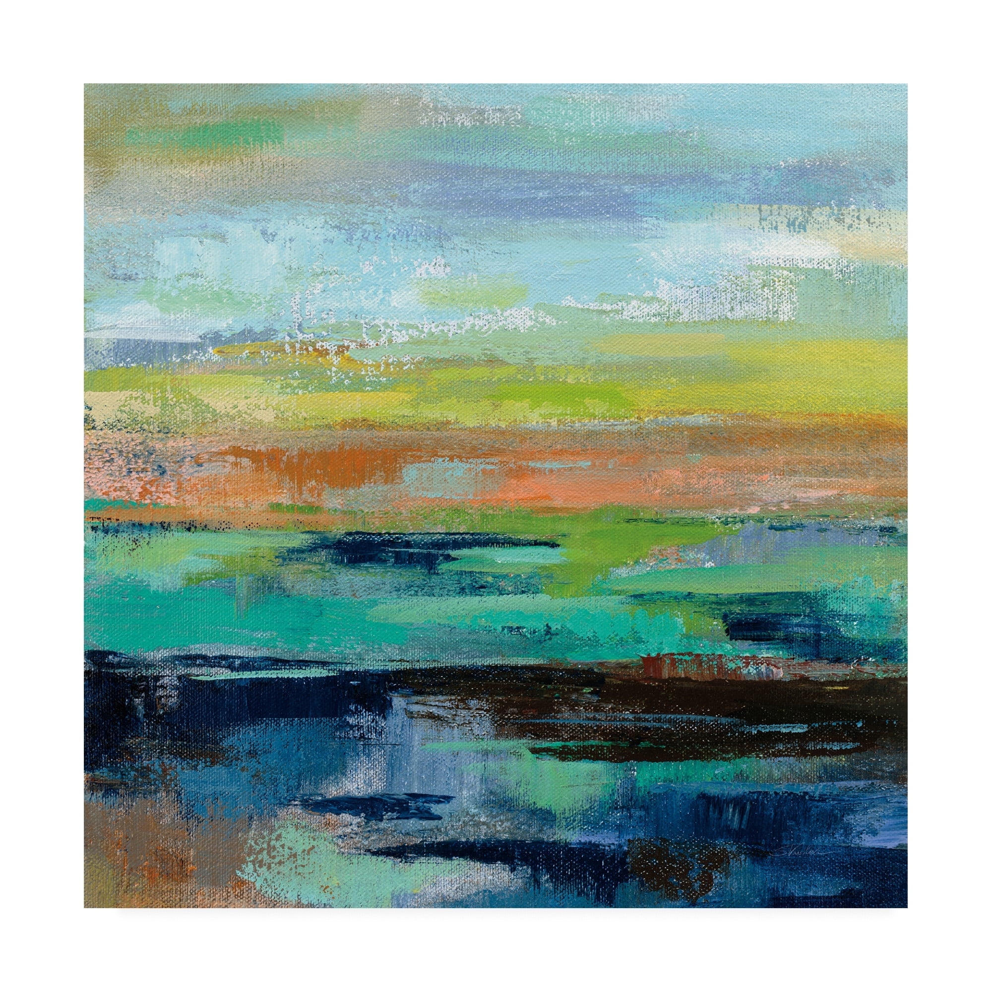 Trademark Fine Art 'Delmar Sunset III' Canvas Art by Silvia Vassileva