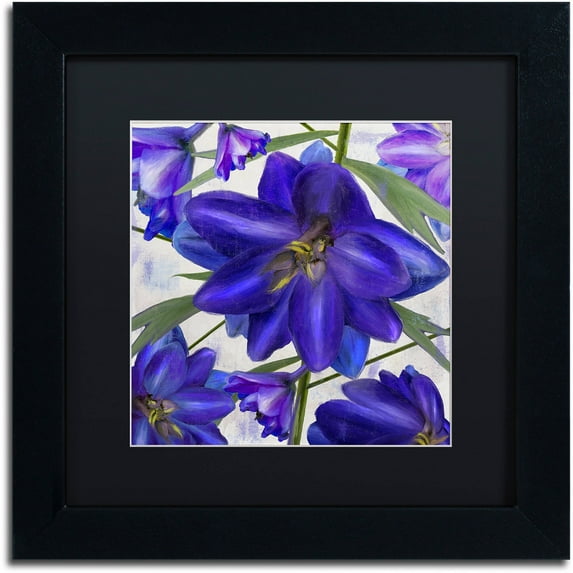 Trademark Fine Art "Delphine I" Canvas Art by Color Bakery Black Matte, Black Frame