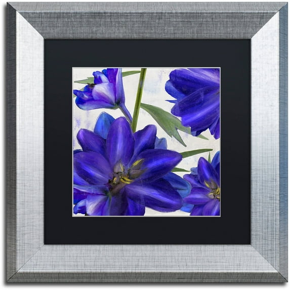 Trademark Fine Art "Delphine II" Canvas Art by Color Bakery Black Matte, Silver Frame