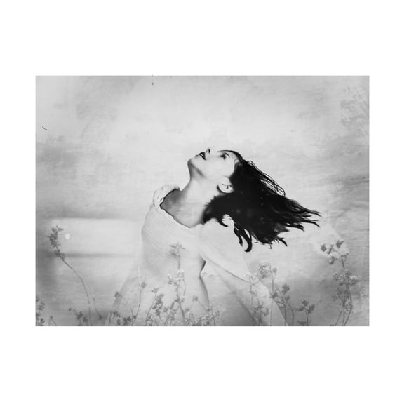 Trademark Fine Art Delphine Margau The Soaring Beautiful Canvas Wall Art