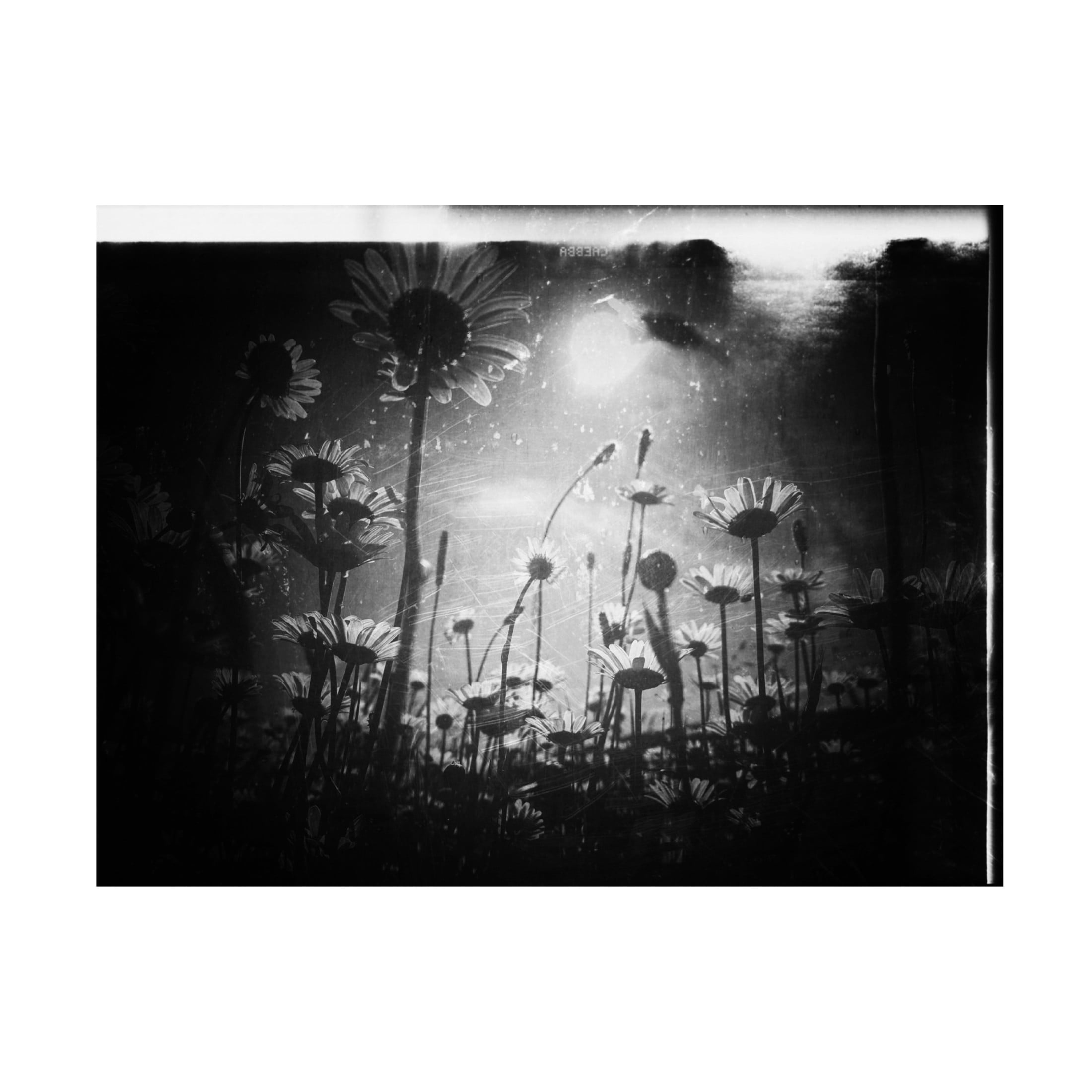 Trademark Fine Art Delphine Margau There Is Always A Piece Of Sky Canvas Wall Art