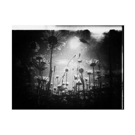 Trademark Fine Art Delphine Margau There Is Always A Piece Of Sky Canvas Wall Art