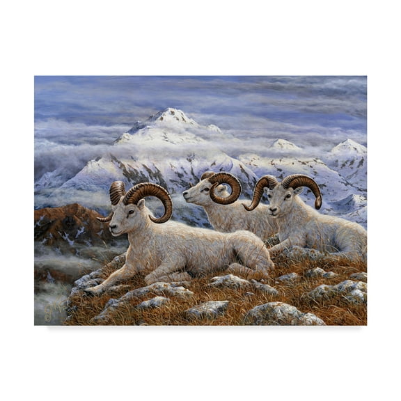 Trademark Fine Art 'Denali Rams' Canvas Art by Jeff Tift