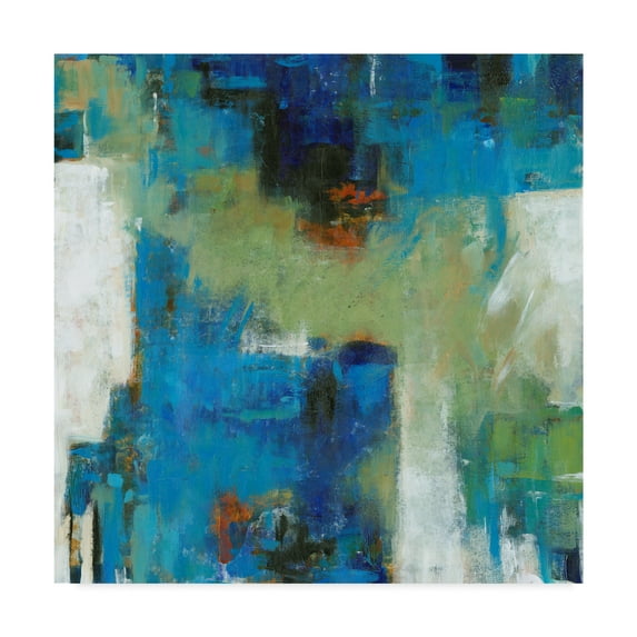 Trademark Fine Art 'Density I' Canvas Art by Tim OToole