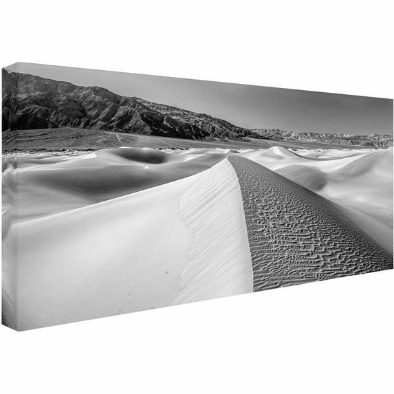 Trademark Fine Art "Desert 1 of 3" Canvas Art by Pierre Leclerc