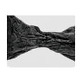 thumbnail image 1 of Trademark Fine Art 'Desert Arches V' Canvas Art by Jenna Guthrie, 1 of 4