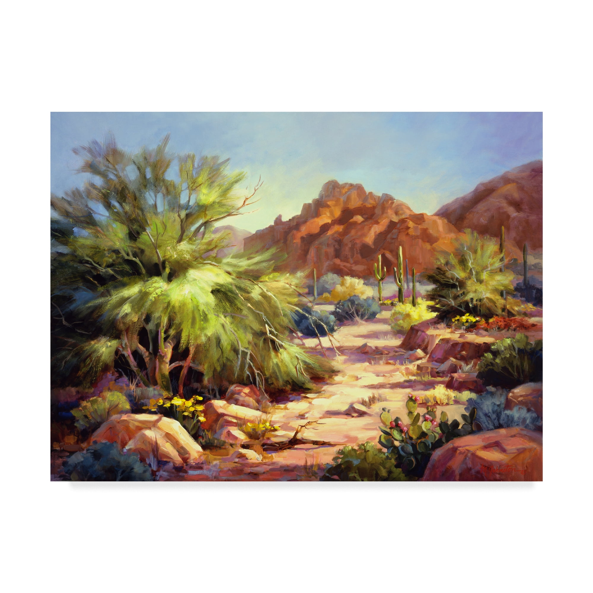 Trademark Fine Art 'Desert Beauty' Canvas Art by Maxine Johnston