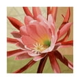 thumbnail image 1 of Trademark Fine Art 'Desert Bloom Flower I' Canvas Art by Jason Higby, 1 of 4