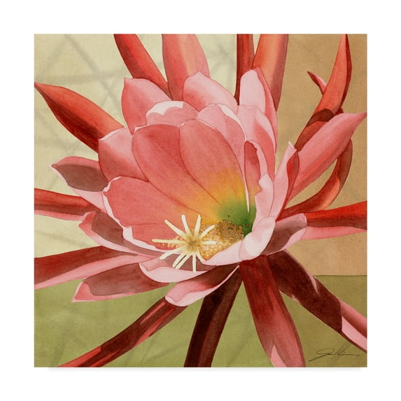 Trademark Fine Art 'Desert Bloom Flower I' Canvas Art by Jason Higby