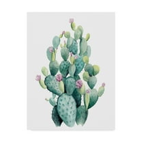 Trademark Fine Art 'Desert Blooms I' Canvas Art by Grace Popp