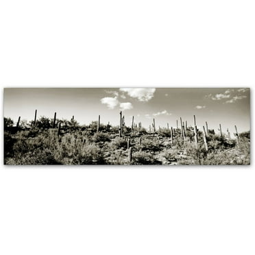 Trademark Fine Art "Desert" Canvas Art by Preston