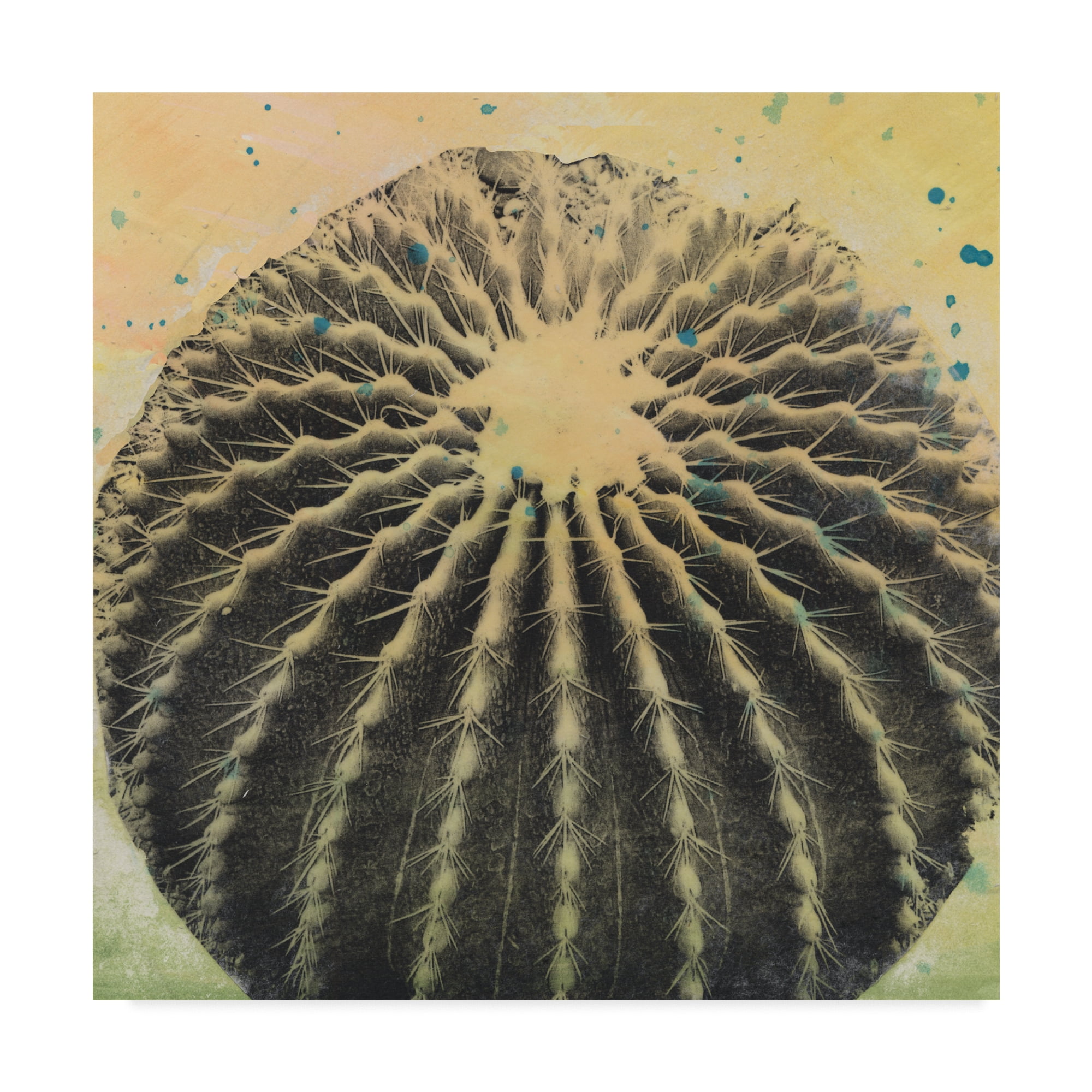Trademark Fine Art 'Desert Dreams III' Canvas Art by Naomi McCavitt