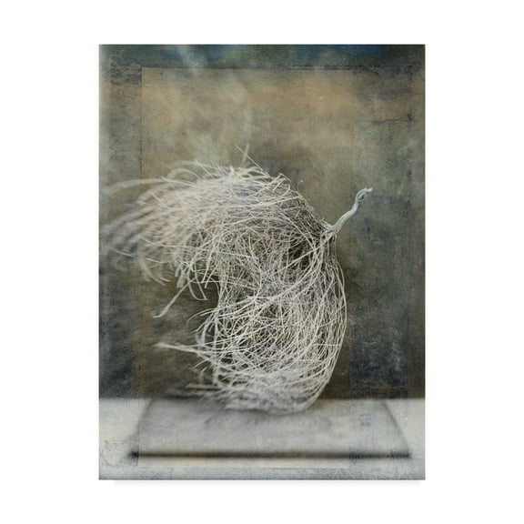 Trademark Fine Art 'Desert Form I' Canvas Art by Elena Ray