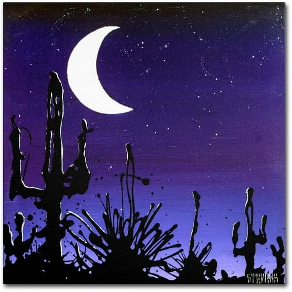 Trademark Fine Art "Desert Moon" Canvas Art by Roderick Stevens