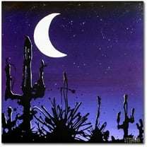Trademark Fine Art "Desert Moon" Canvas Art by Roderick Stevens