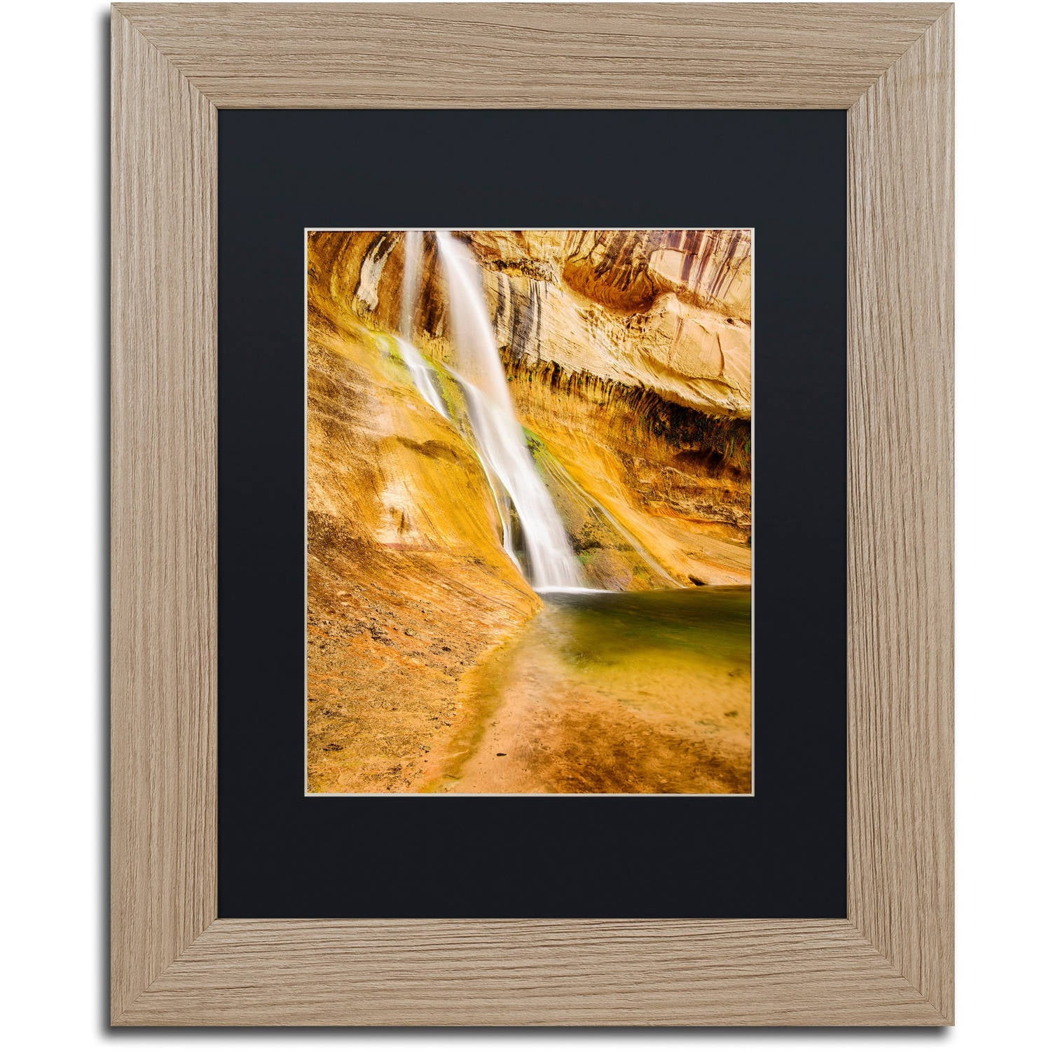 Trademark Fine Art "Desert Oasis" Canvas Art by Michael Blanchette Photography Black Matte, Birch Frame