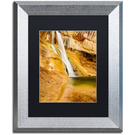 Trademark Fine Art "Desert Oasis" Canvas Art by Michael Blanchette Photography Black Matte, Silver Frame