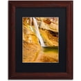 thumbnail image 1 of Trademark Fine Art "Desert Oasis" Canvas Art by Michael Blanchette Photography Black Matte, Wood Frame, 1 of 4