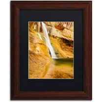 Trademark Fine Art "Desert Oasis" Canvas Art by Michael Blanchette Photography Black Matte, Wood Frame