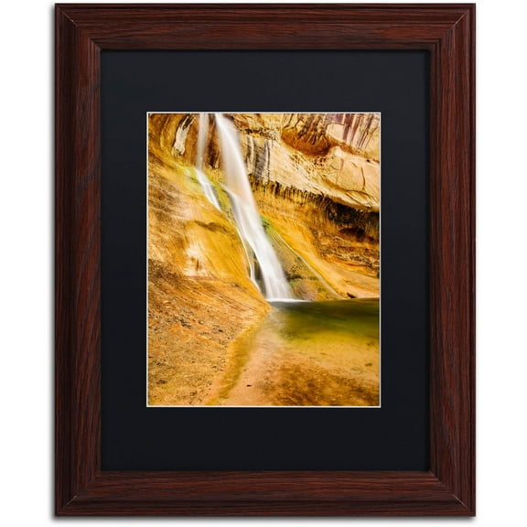 Trademark Fine Art "Desert Oasis" Canvas Art by Michael Blanchette Photography Black Matte, Wood Frame