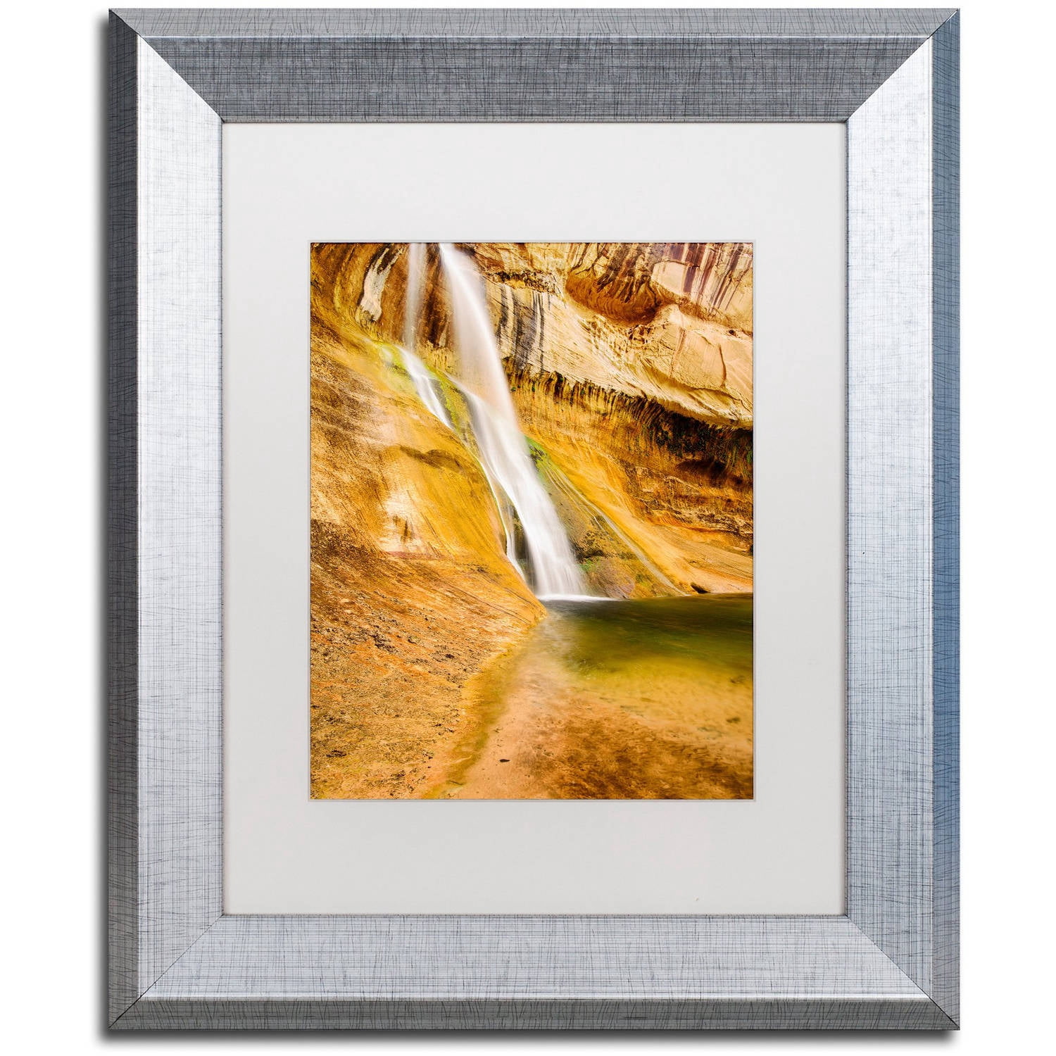 Trademark Fine Art "Desert Oasis" Canvas Art by Michael Blanchette Photography White Matte, Silver Frame