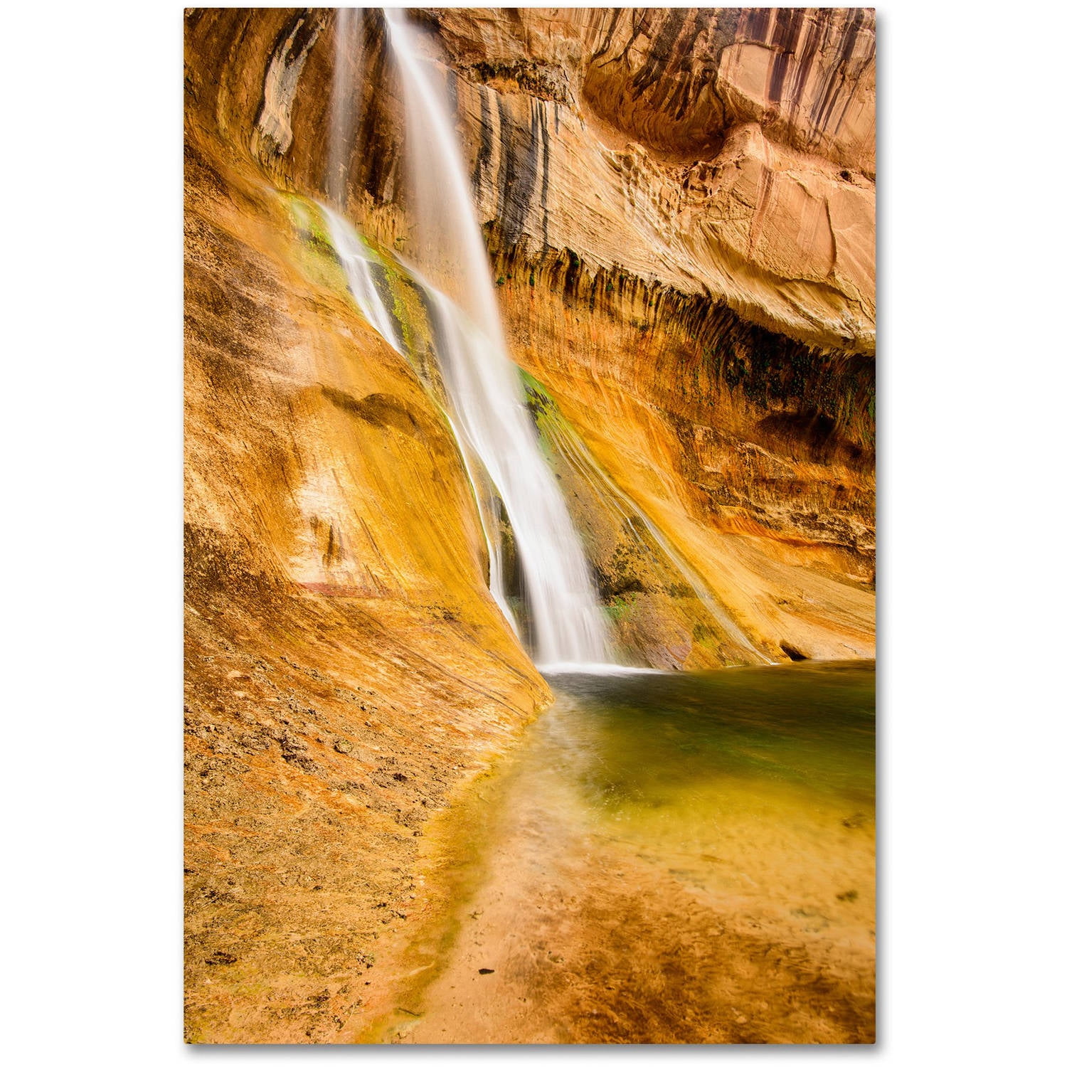 Trademark Fine Art "Desert Oasis" Canvas Art by Michael Blanchette Photography