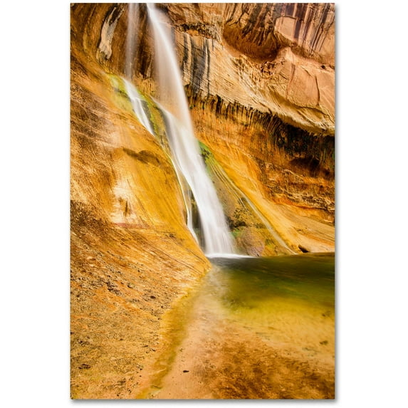 Trademark Fine Art "Desert Oasis" Canvas Art by Michael Blanchette Photography