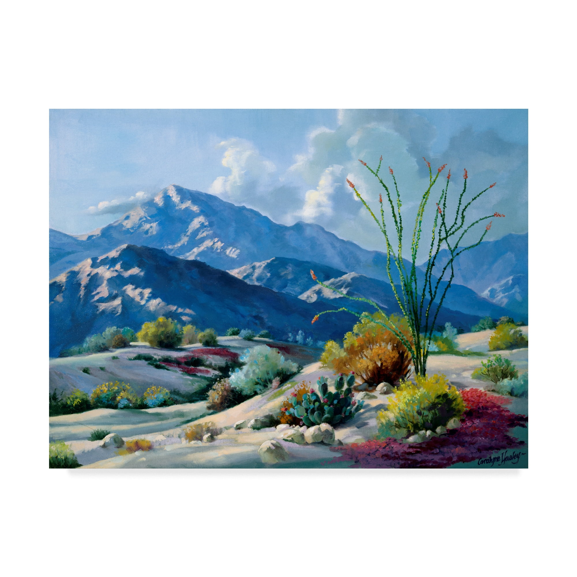 Trademark Fine Art 'Desert Serenade' Canvas Art by Carolyne Hawley