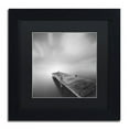 thumbnail image 1 of Trademark Fine Art "Destiny IVb" Canvas Art by Moises Levy Black Matte, Black Frame, 1 of 4