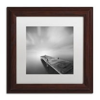 Trademark Fine Art "Destiny IVb" Canvas Art by Moises Levy White Matte, Wood Frame