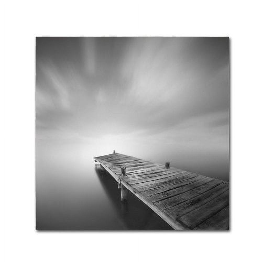 Trademark Fine Art "Destiny IVb" Canvas Art by Moises Levy