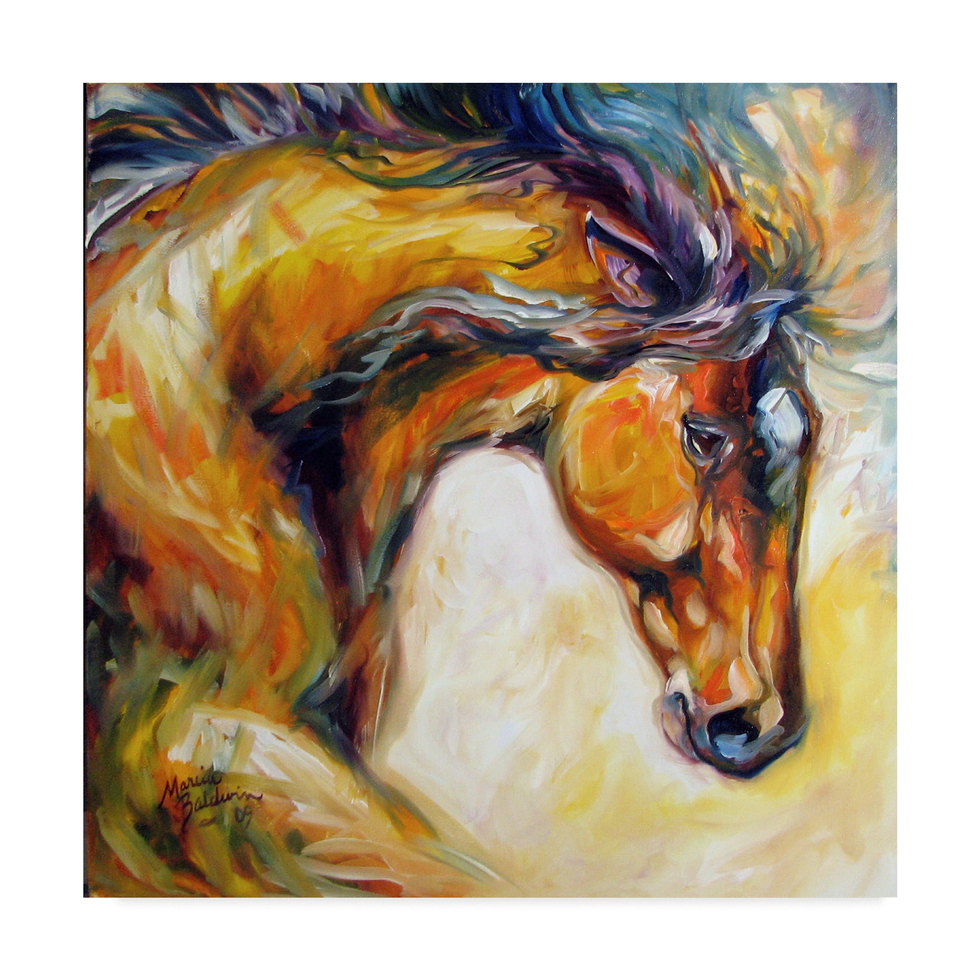 Trademark Fine Art 'Determined Equine' Canvas Art by Marcia Baldwin