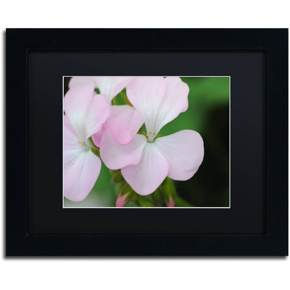 Trademark Fine Art "Devine Feel" Canvas Art by Monica Mize, Black Matte, Black Frame