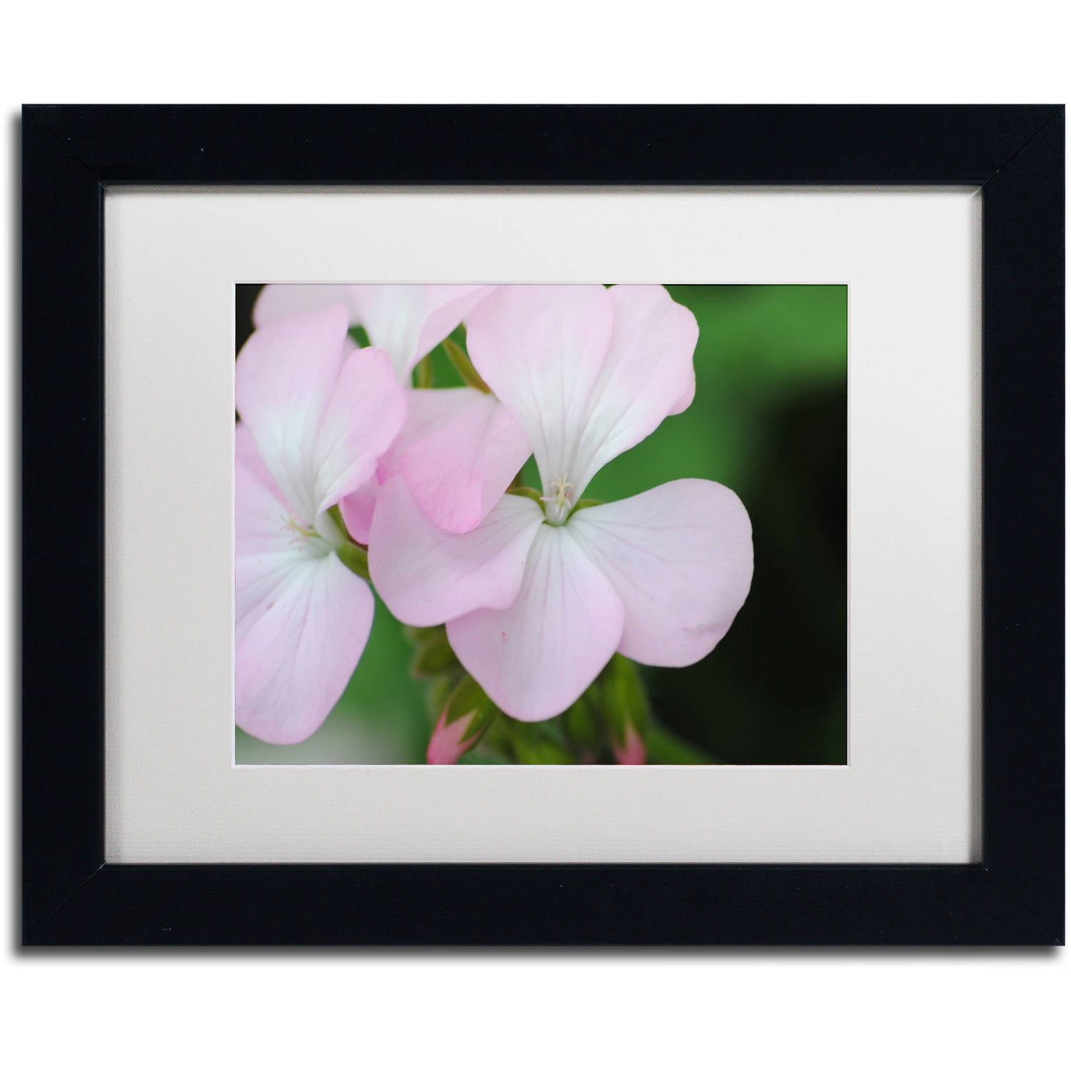 Trademark Fine Art "Devine Feel" Canvas Art by Monica Mize, White Matte, Black Frame