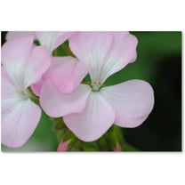 Trademark Fine Art "Devine Feel" Canvas Art by Monica Mize