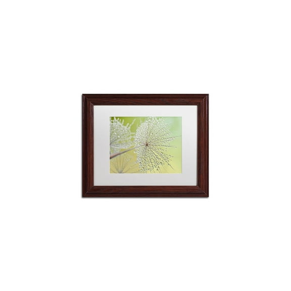 Trademark Fine Art 'Dewy Dandelion' Canvas Art by Cora Niele, White Matte, Wood Frame