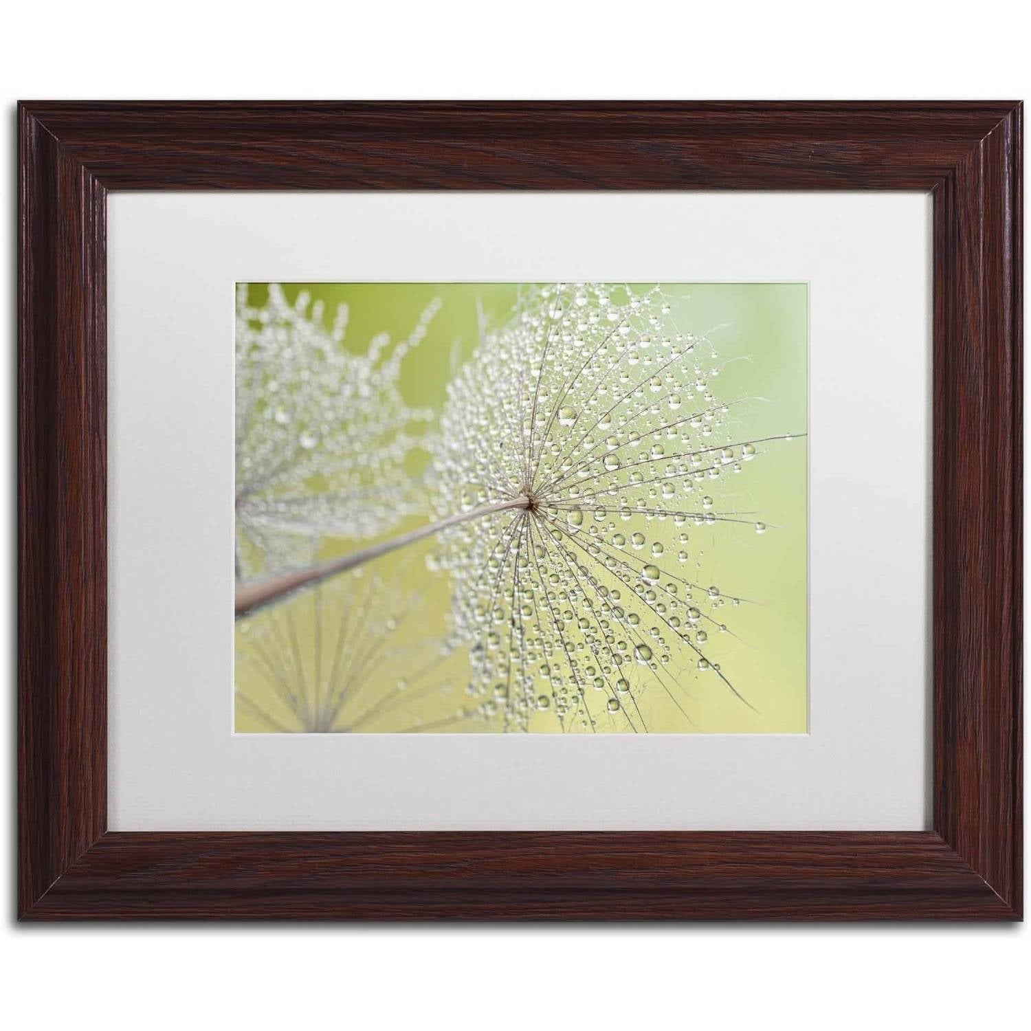 Trademark Fine Art 'Dewy Dandelion' Canvas Art by Cora Niele, White Matte, Wood Frame