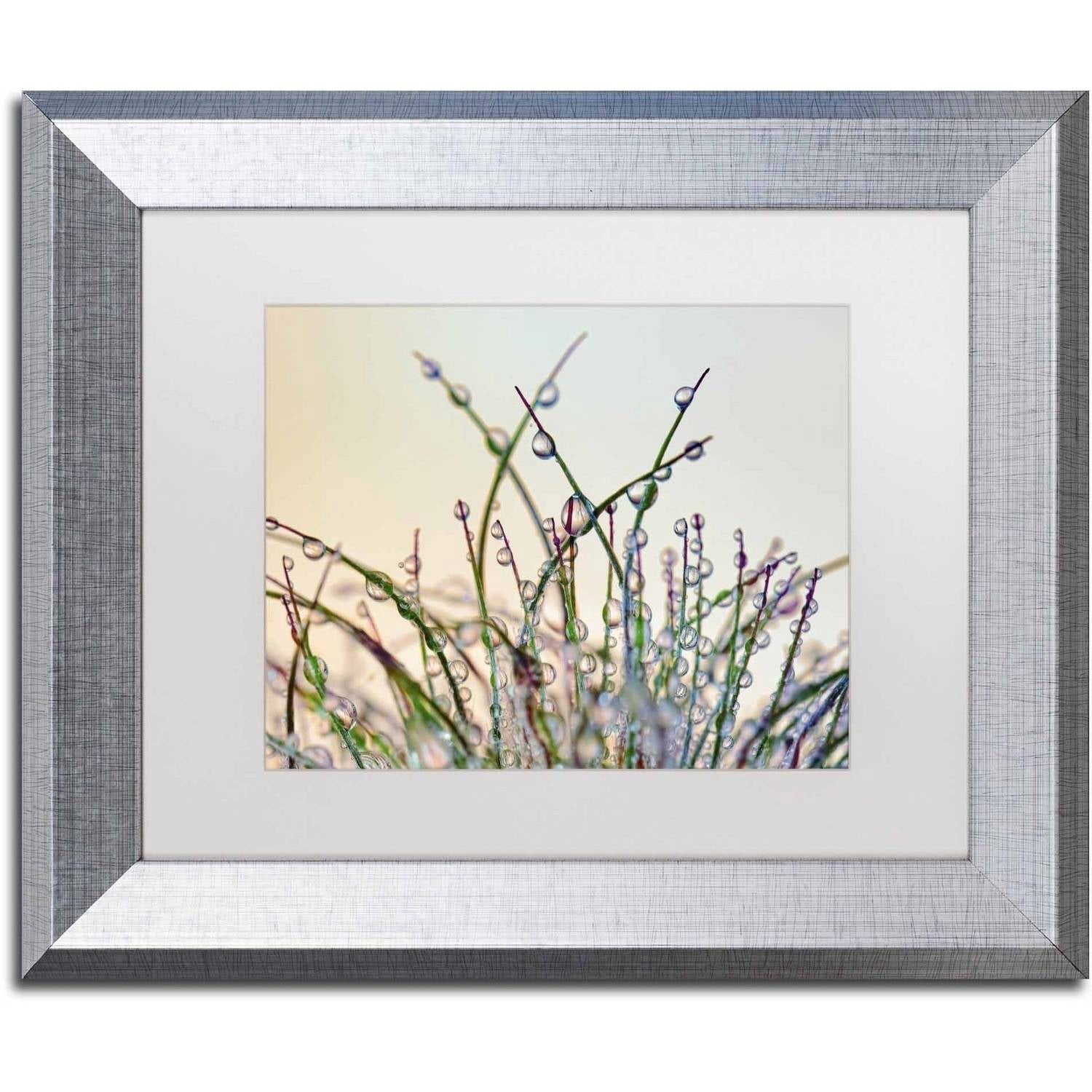 Trademark Fine Art 'Dewy Grass' Canvas Art by Cora Niele, White Matte, Silver Frame