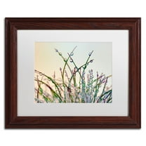 Trademark Fine Art 'Dewy Grass' Canvas Art by Cora Niele, White Matte, Wood Frame