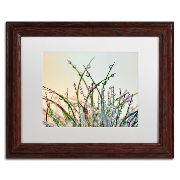 Trademark Fine Art 'Dewy Grass' Canvas Art by Cora Niele, White Matte, Wood Frame