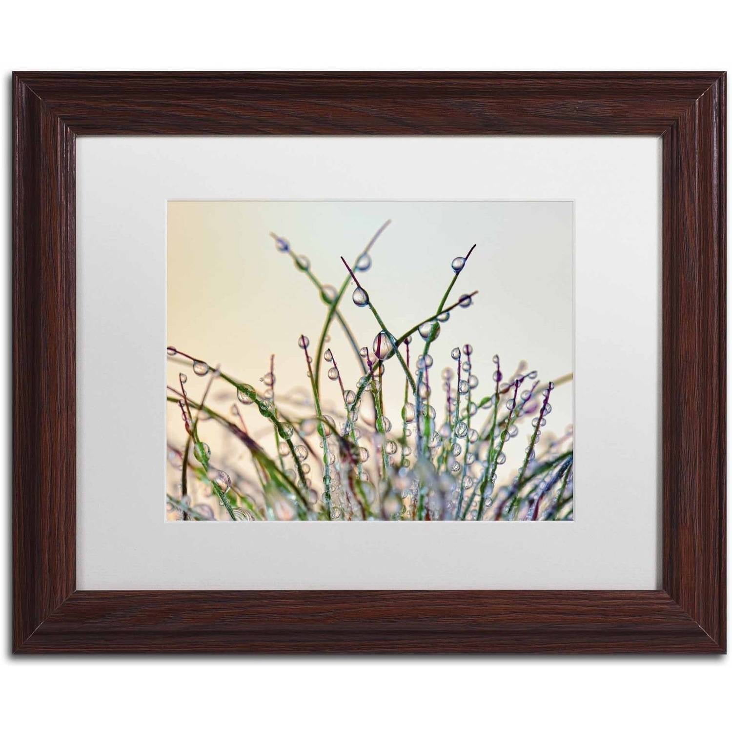 Trademark Fine Art 'Dewy Grass' Canvas Art by Cora Niele, White Matte, Wood Frame