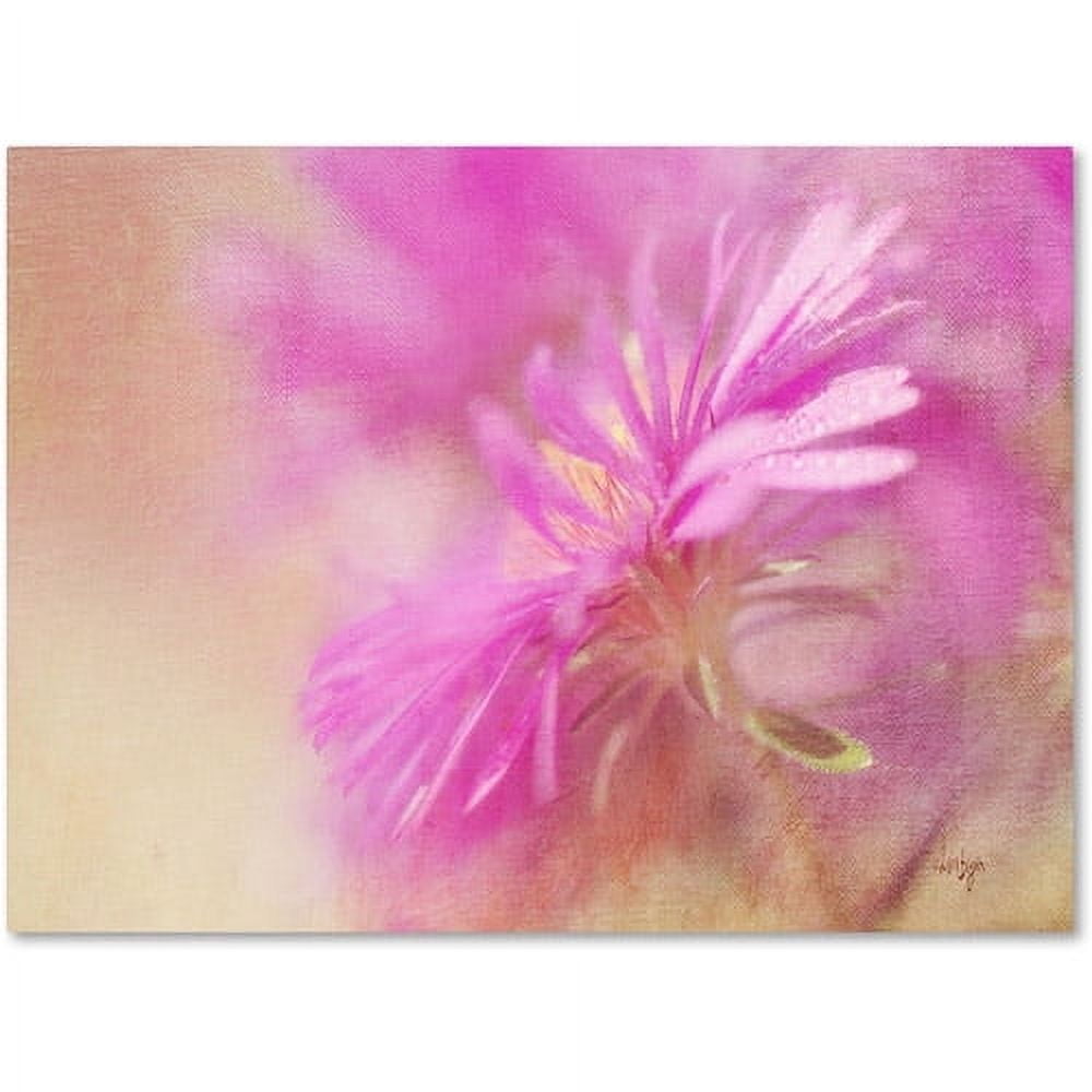Trademark Fine Art "Dewy Pink Aster" Canvas Art by Lois Bryan