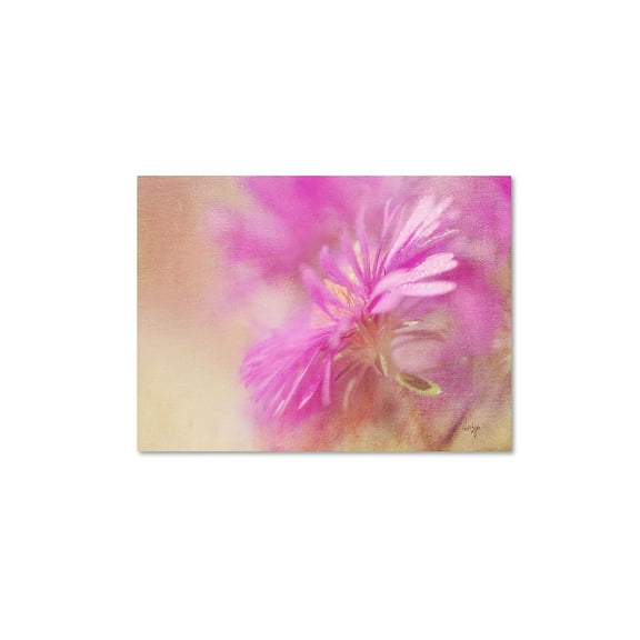 Trademark Fine Art "Dewy Pink Aster" Canvas Art by Lois Bryan