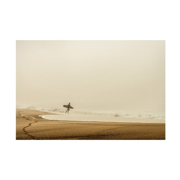Trademark Fine Art Dieter Reichelt Surfer Canvas Wall Art
