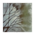 thumbnail image 1 of Trademark Fine Art 'Diffuse Branches II' Canvas Art by Jennifer Goldberger, 1 of 4