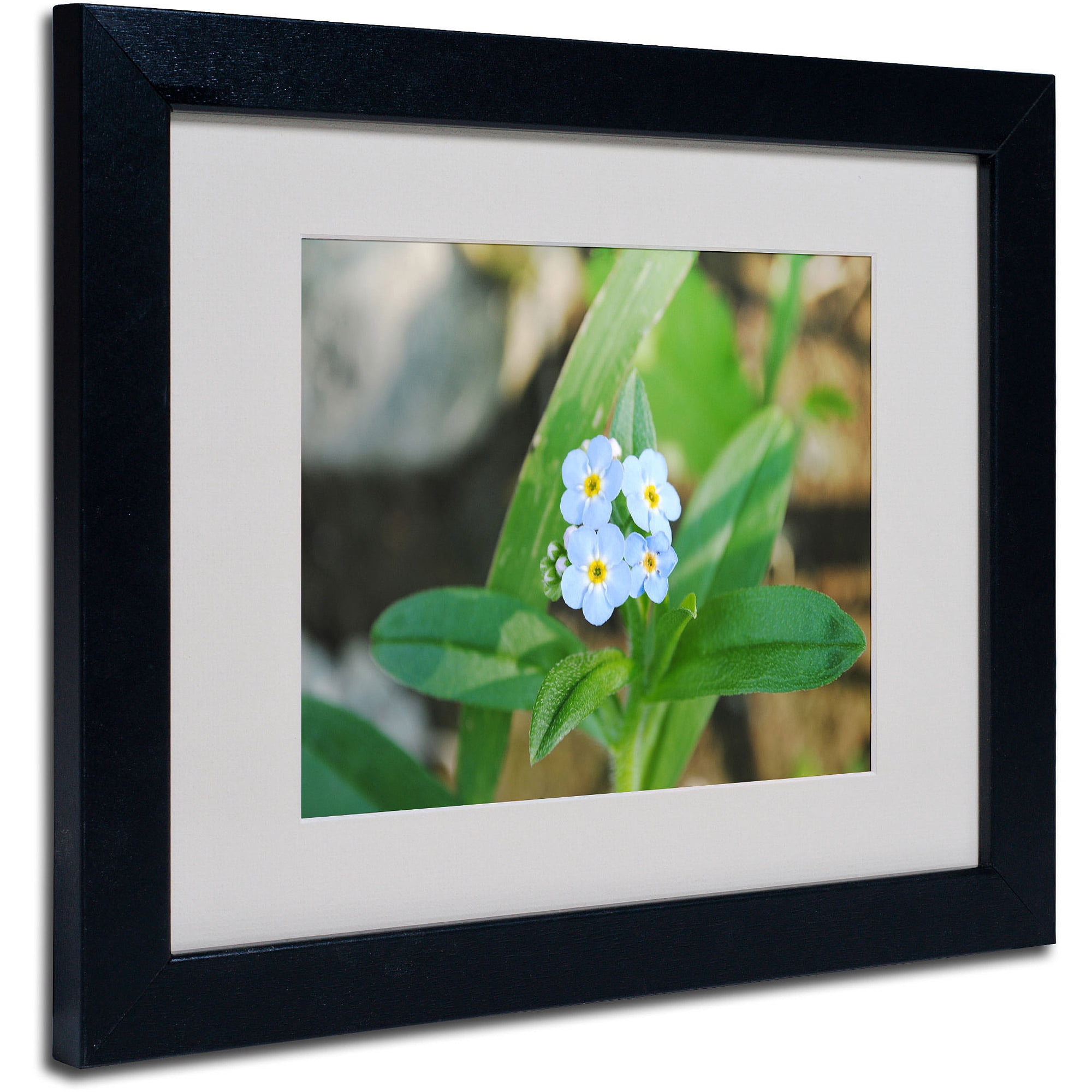 Trademark Fine Art "Dignified Characteristic" by Monica Fleet, Black Frame
