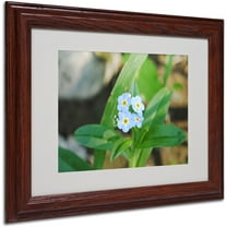 Trademark Fine Art "Dignified Characteristic" by Monica Fleet, Wood Frame