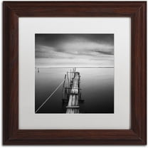 Trademark Fine Art "Direction" Canvas Art by Moises Levy White Matte, Wood Frame