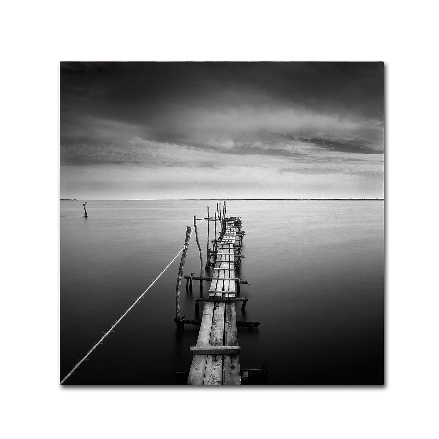 Trademark Fine Art "Direction" Canvas Art by Moises Levy