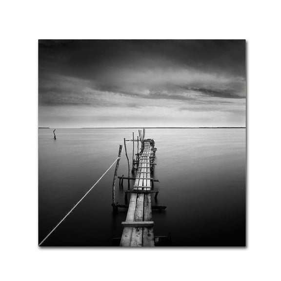 Trademark Fine Art "Direction" Canvas Art by Moises Levy